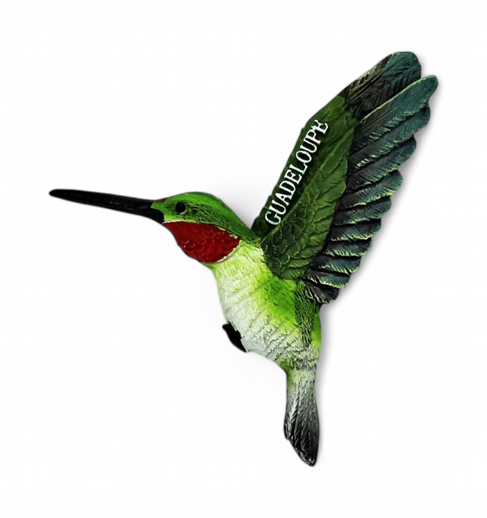 Magnet Resine Colibri