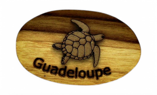 Magnet Plaque Tortue