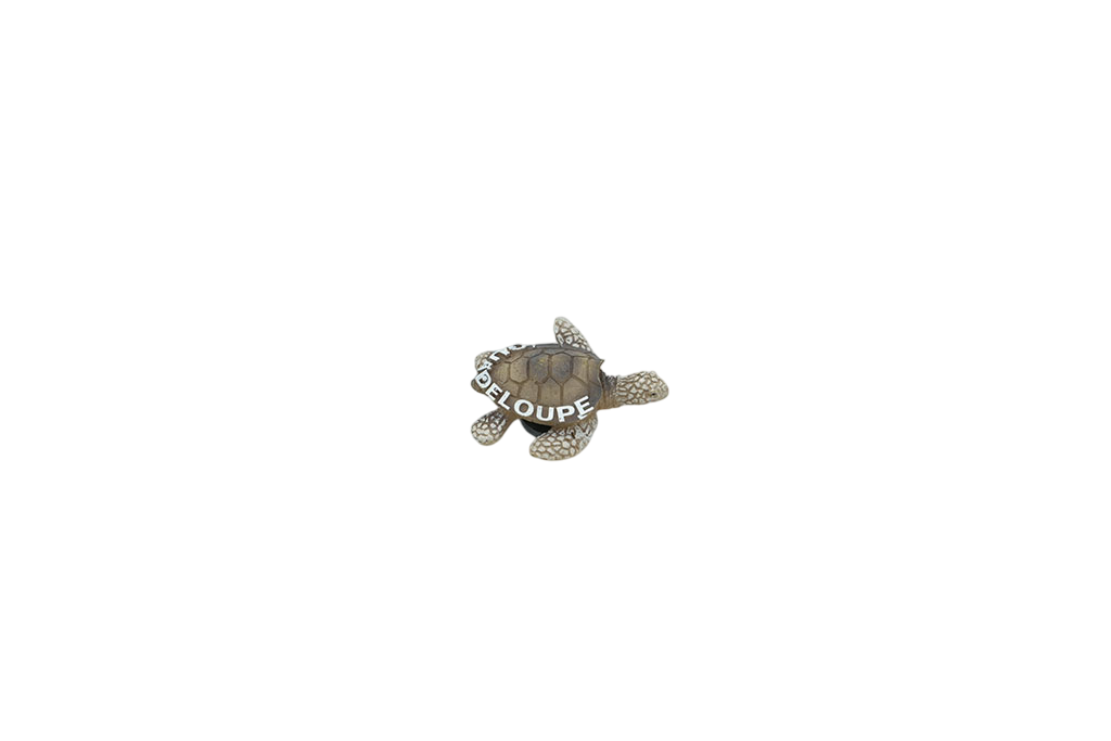 Magnet Tortue Resine S