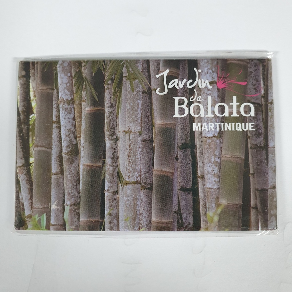 Magnet Image JDB Bambou