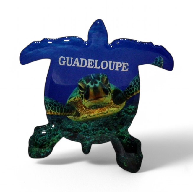 Magnet Epoxy Tortue Mer