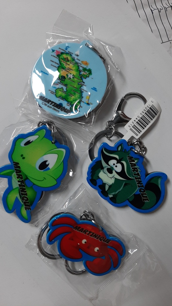 Porte-Clé Plastique