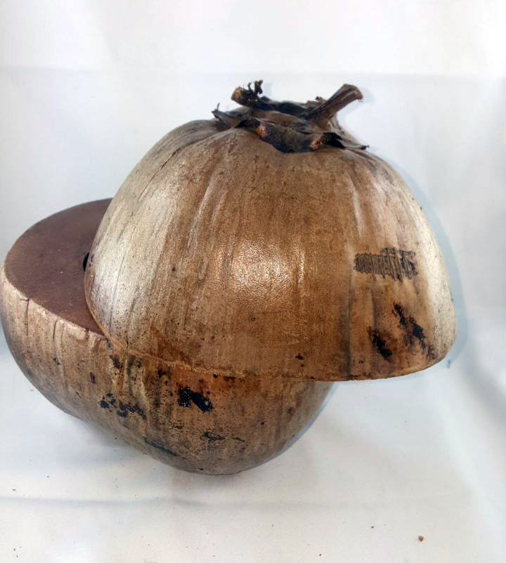 Glaciere Coco Entière