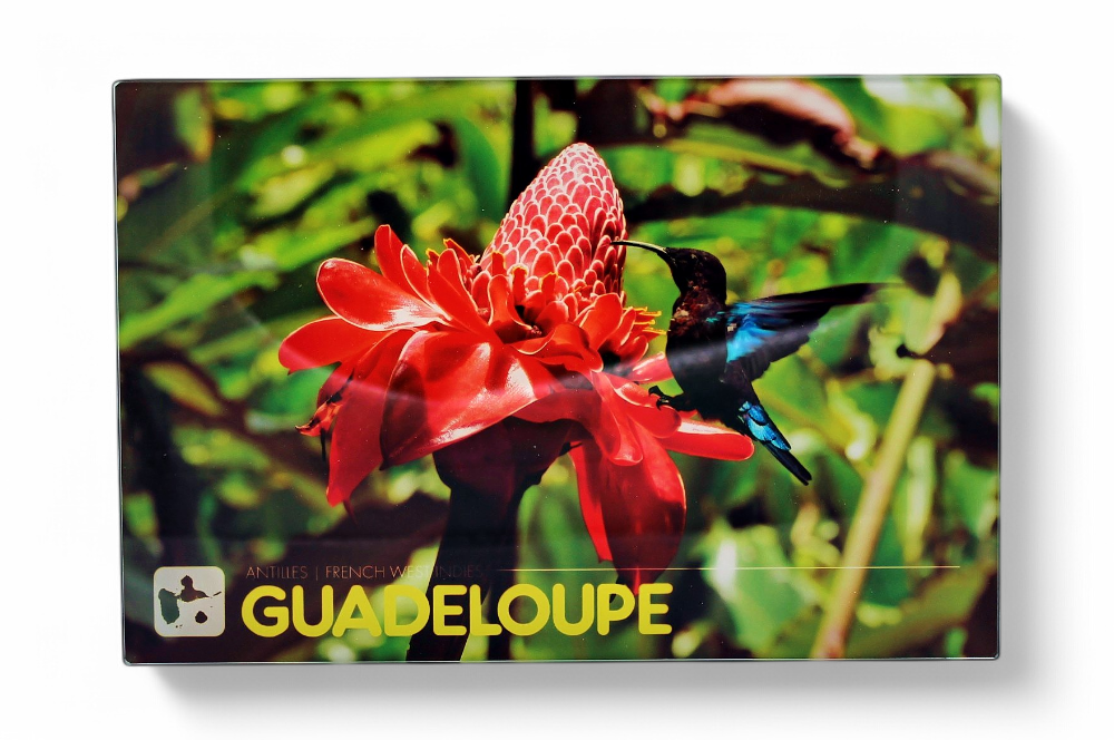 Planche à Decouper Rose+Colibri