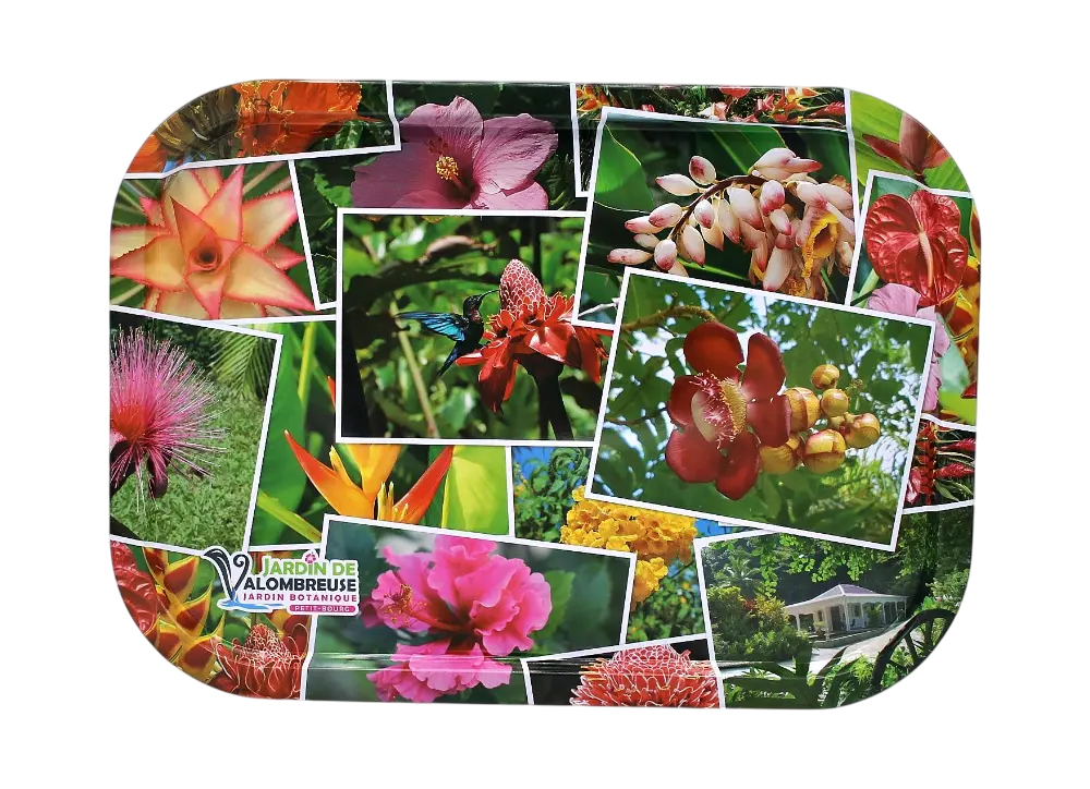 Plateau Métal JDV+Fleur GP