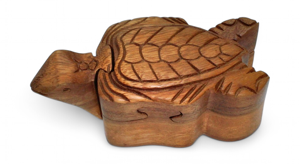 Boite Secrete Tortue Vue Haute