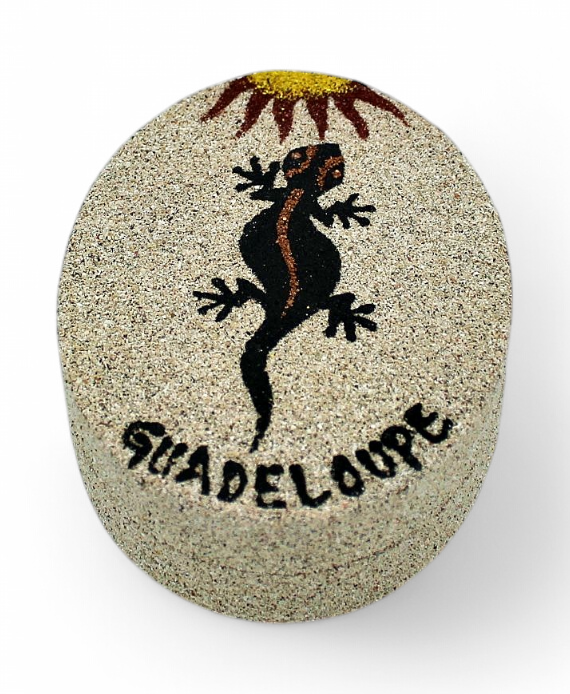 Boite Carton Motifs Gecko Tortue Sable