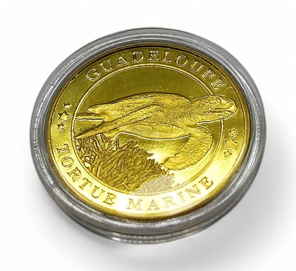 Médaille Tortue