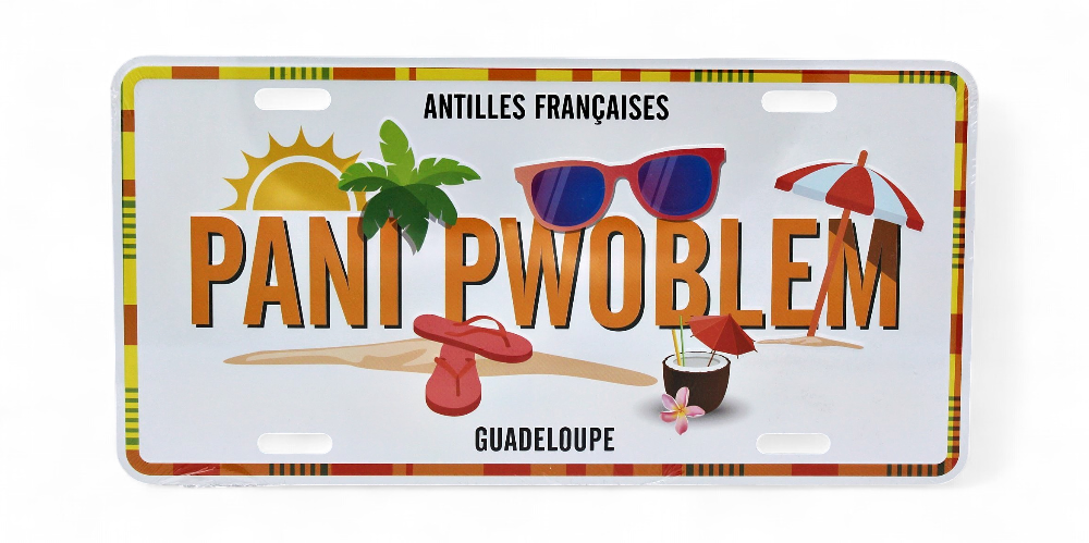 Plaque 15X30 Pani Pwoblem