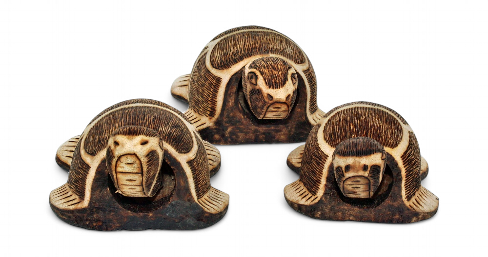 Tortue Set De 3