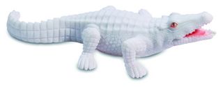 Crocodile Blanc 11Cm