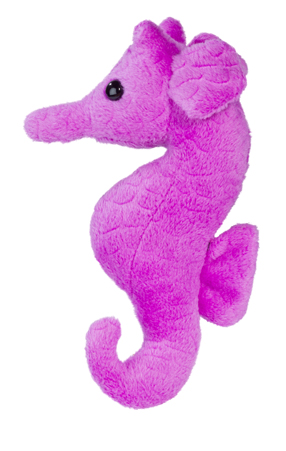 Hippocampe Pochette Cadeau