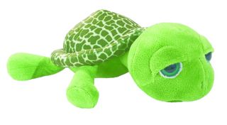 Tortue Verte Gros Yeux