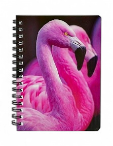 Flamingo 3D Notebook
