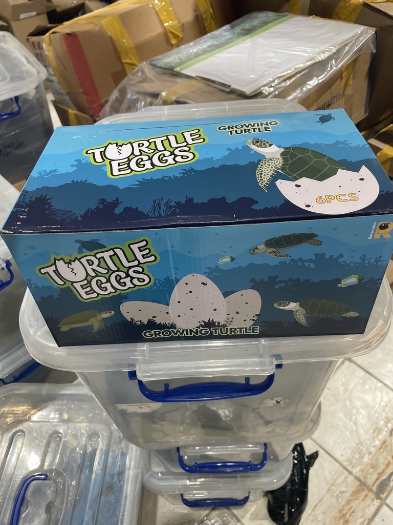 Oeuf Tortue  馗losion (12Cm)