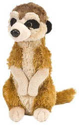 Ck Mini Meerkat