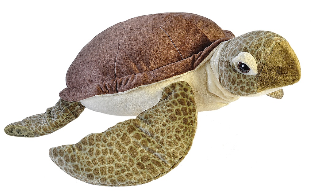 Ck Jumbo Green Sea Turtle