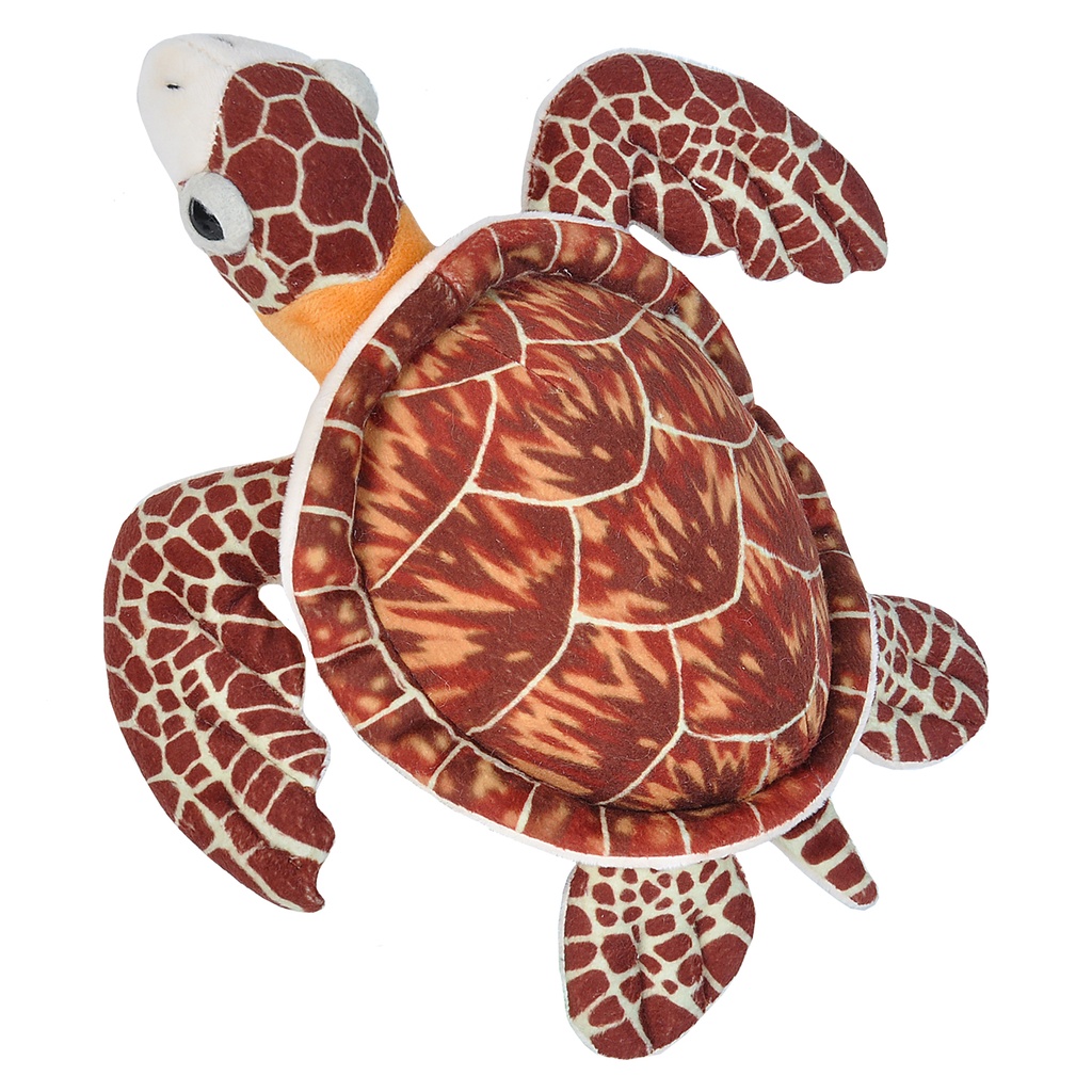 Ck-Mini Hawksbill Sea Turtle