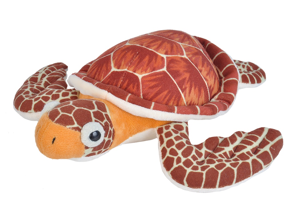 Ck Mini Loggerhead Sea Turtle