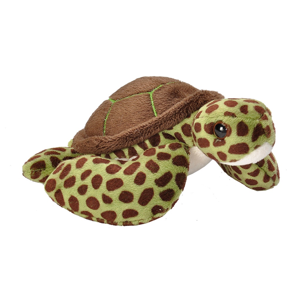 Pocketkins Eco Green Sea Turtle