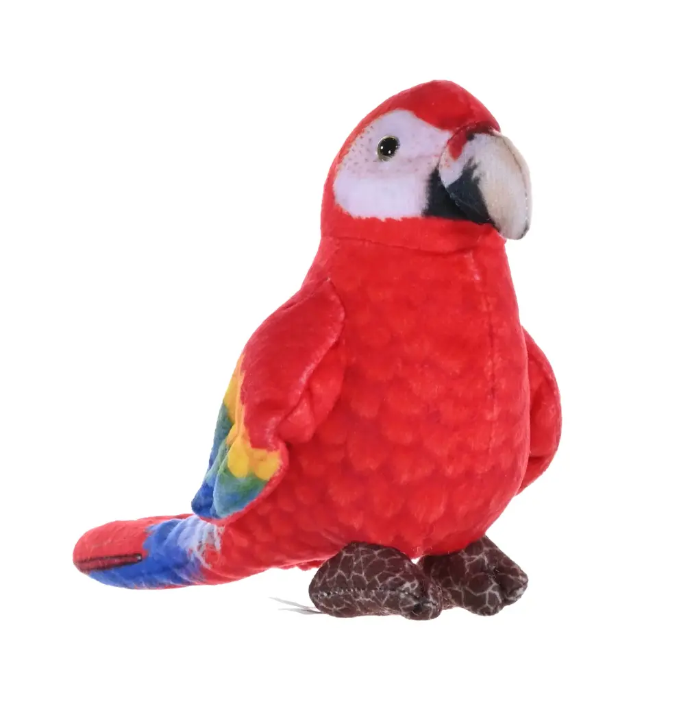 Rainforest Scarlet Macaw