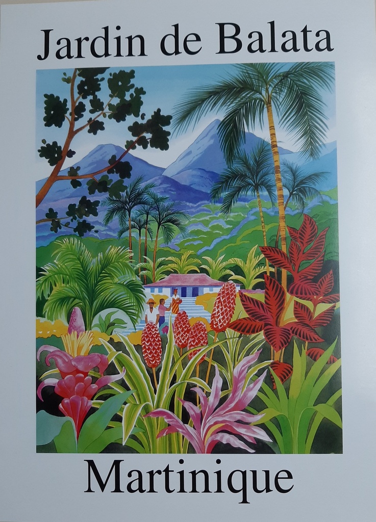 Affiche JDB GM (60X80)