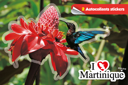 Cp Stick MQ Rose+Colibri Martinique