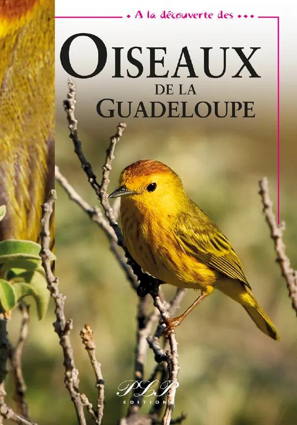 Ald Oiseaux De Guadeloupe