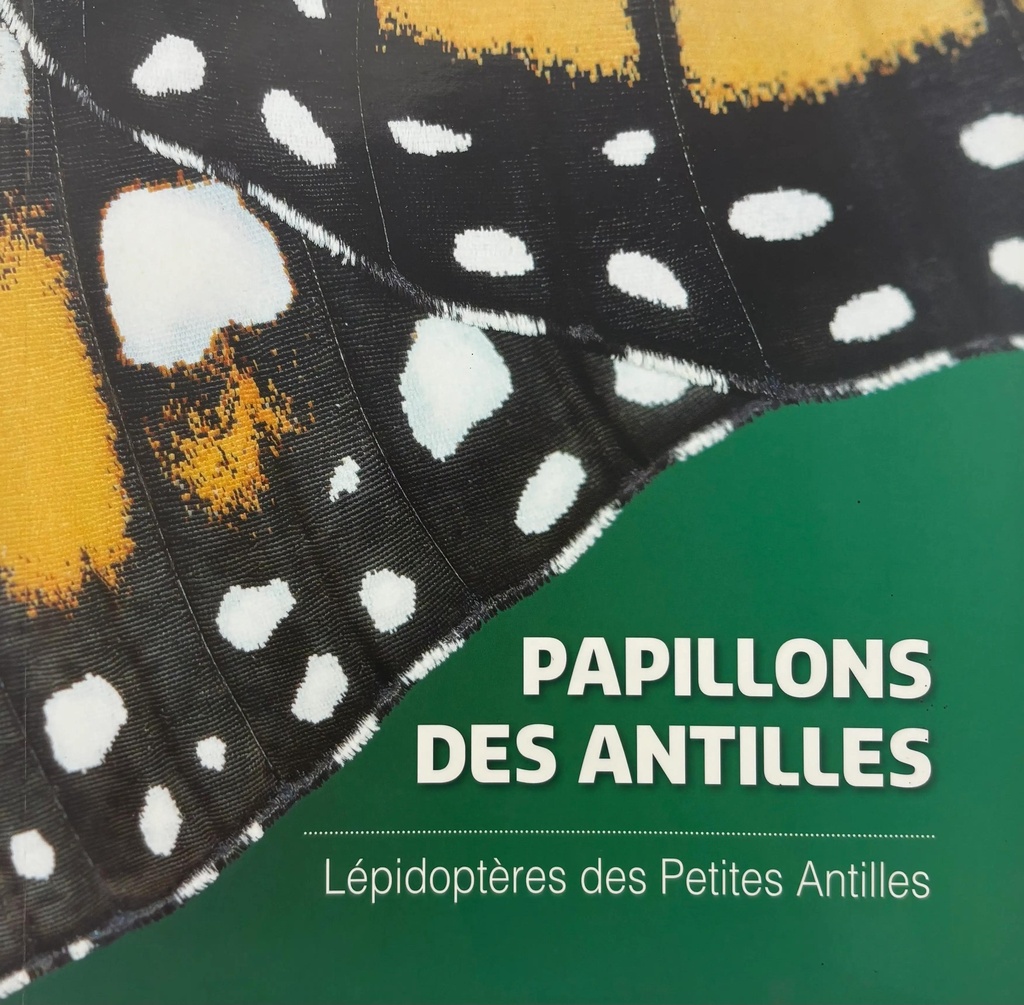Les Papillons Des Antilles 40P