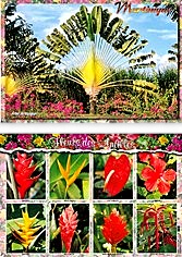 Set de Table MQ M029