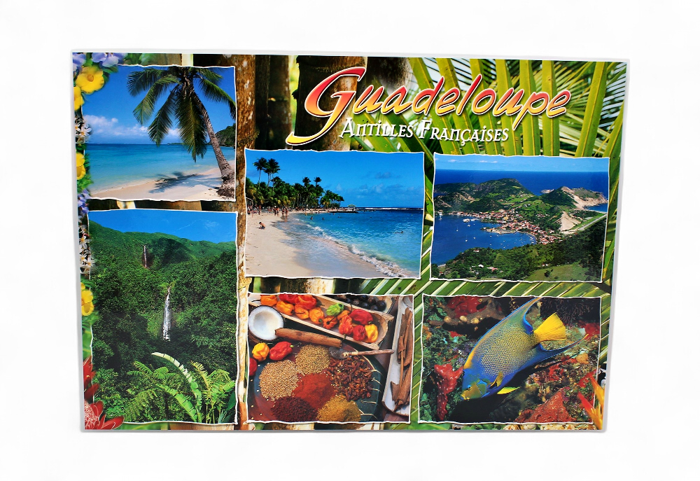 Set de Table GP Poisson + 6 Photos / Recettes STG35