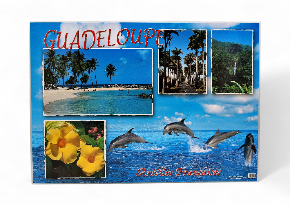 Set de Table GP Plage Cocotiers / Dauphin + 4 Photos STG43