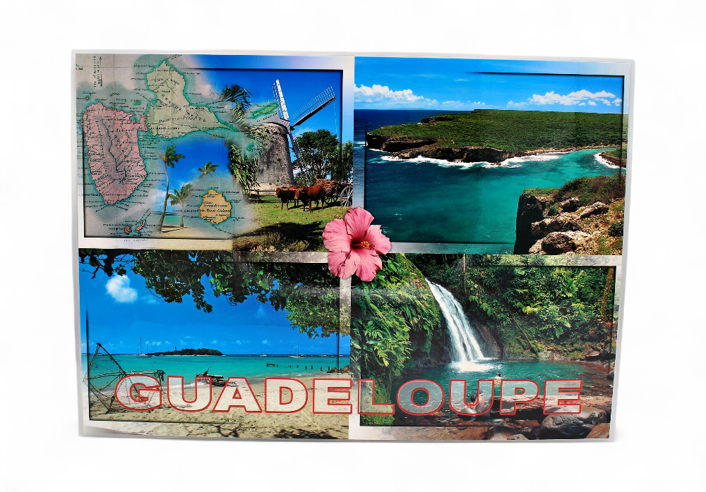 Set de Table GP Plage + Cocotiers / 4 Photos STG47