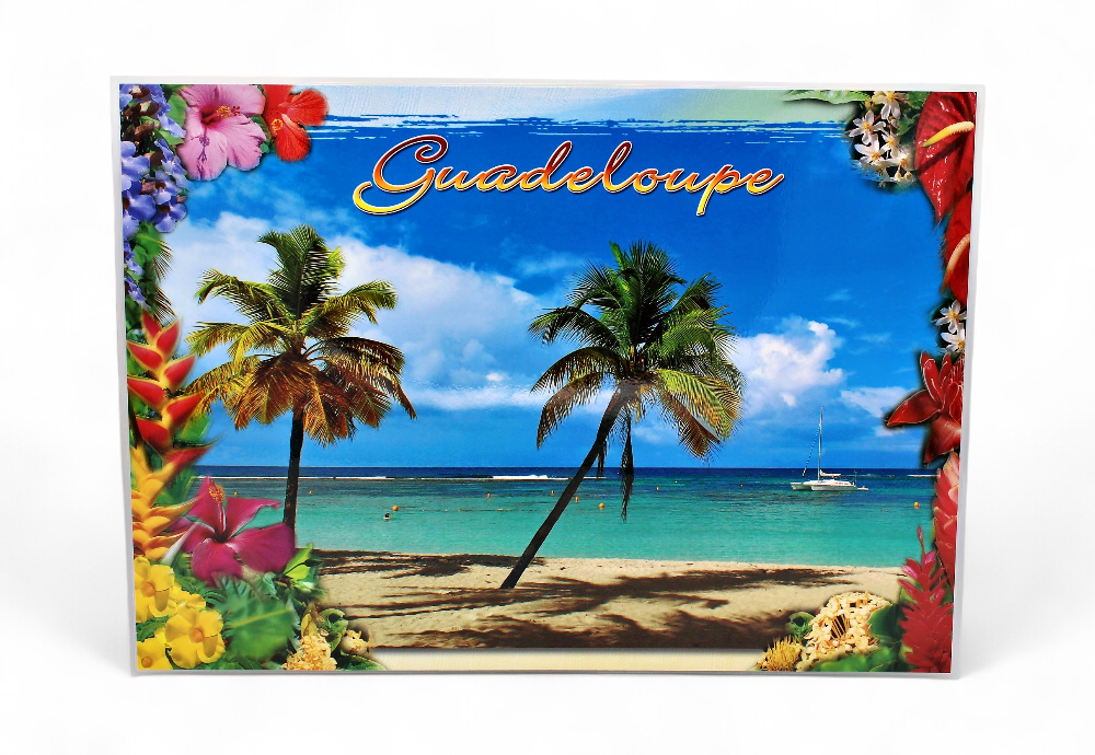 Set de Table GP Plage 4 Cocotiers / 4 Photos Moulin STG51