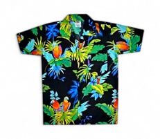 Chemise Hawai Ado