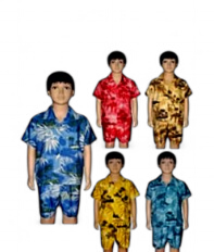 Ensemble Garçon Hawaï