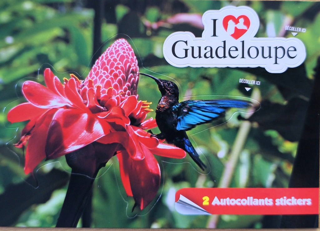 Sticker Rose+Colibri Guadeloupe