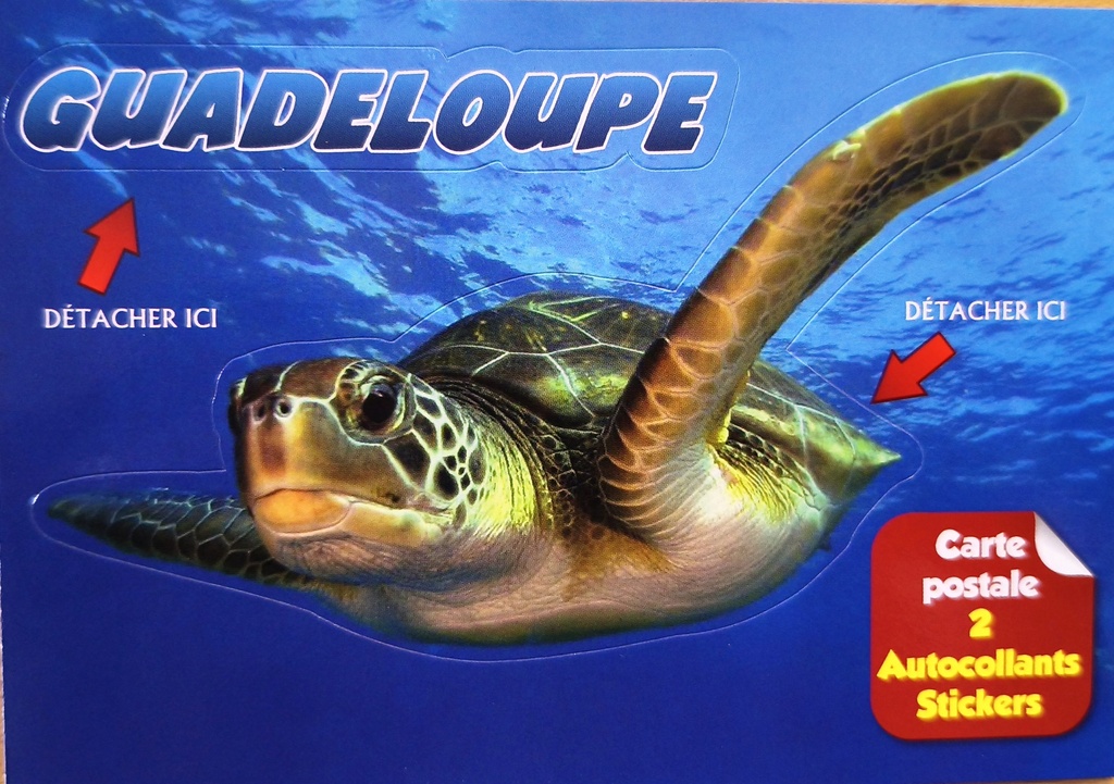 Sticker Tortue Marine Guadeloupe
