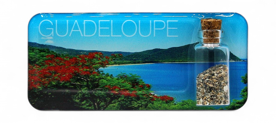 Magnet Epoxy Rectangle Avec Bouteille Flamboyant GP