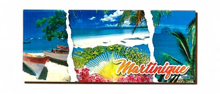 Magnet Bois Long Multivue Yoles, Plages, Diamant MQ