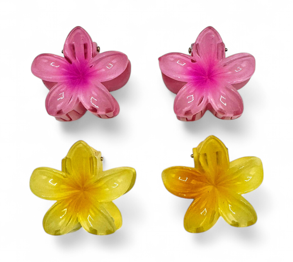 Lot de 2 Petites Pinces À Cheveux Fleur