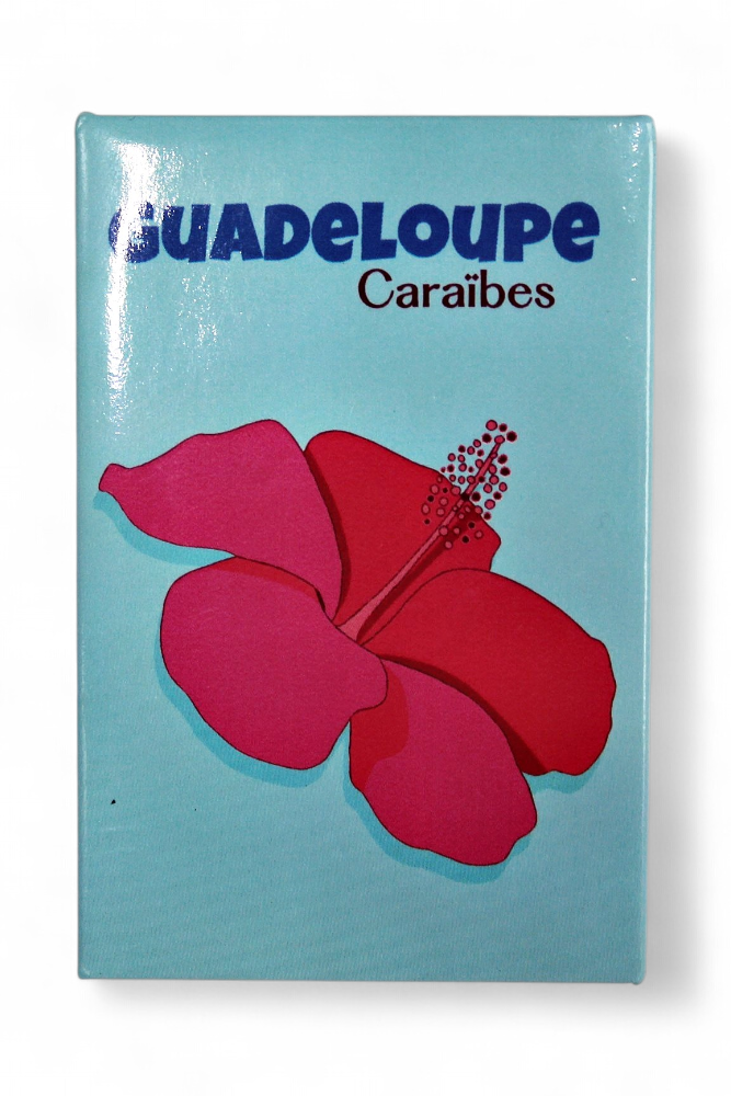 Magnet Image Hibiscus