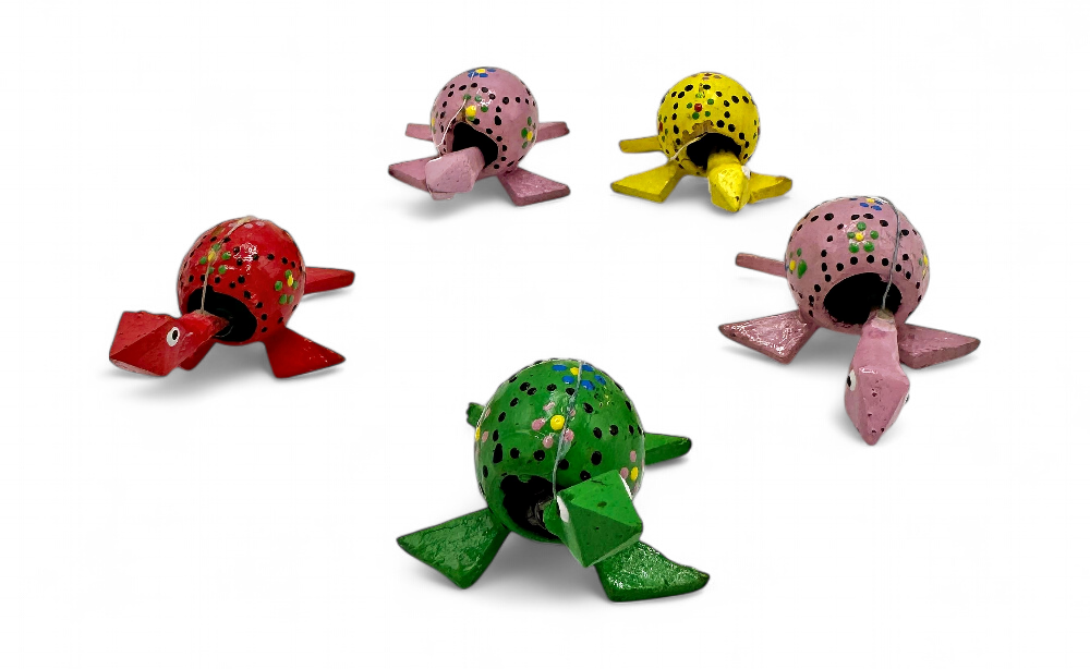 Tortue tête qui bouge