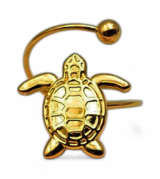 Bague inoxydable tortue