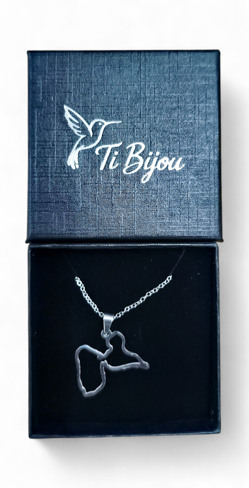 Collier acier inoxydable Carte et Hibiscus