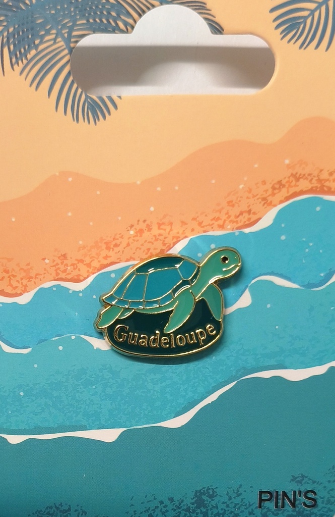 Pin's Tortue