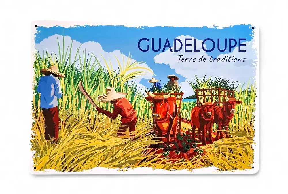 Affiche Métal 20X30 - Carte Rhums