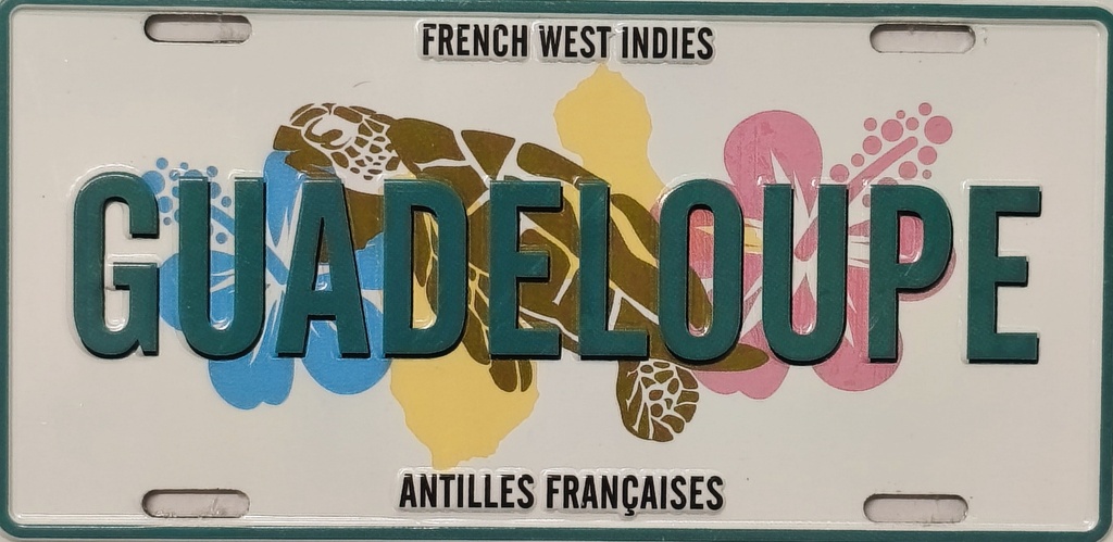 Magnet Plaque  - Tortue de mer