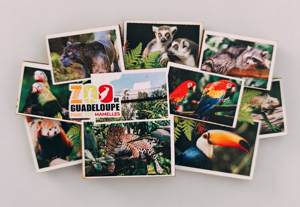 Magnet MDF - Multivue PDM