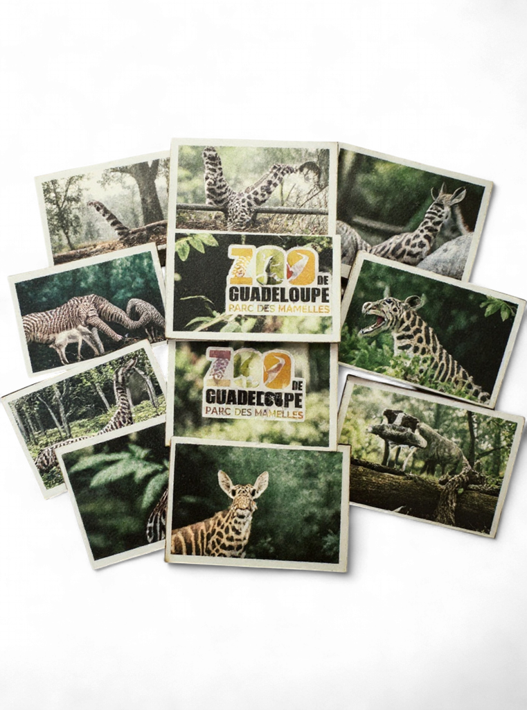 Magnet MDF - Multivue PDM